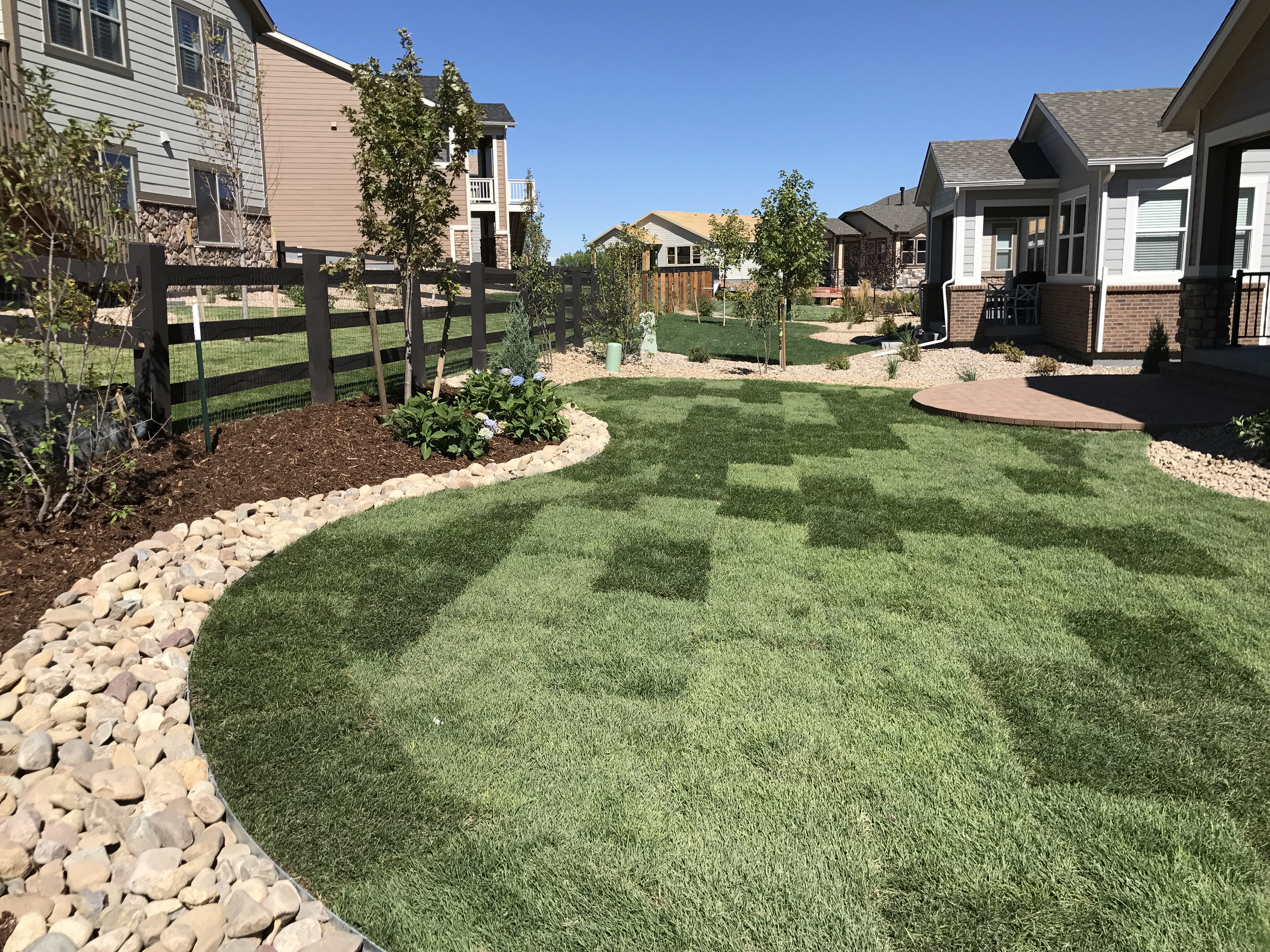 Tree and shrub planting in a professionally designed softscape garden in Highlands Ranch